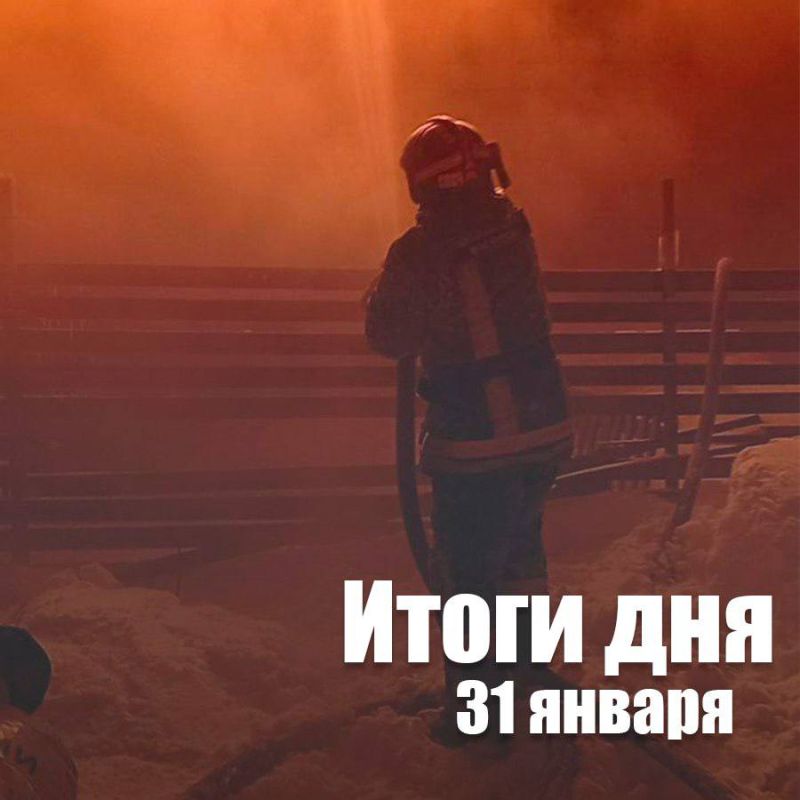 За сутки в Новосибирской области: