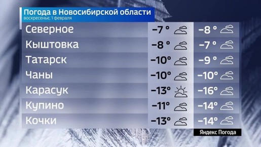 Вести Новосибирск