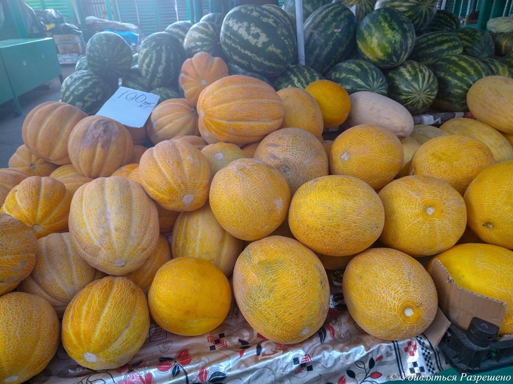 Как выбрать идеальную дыню: советы для летнего стола