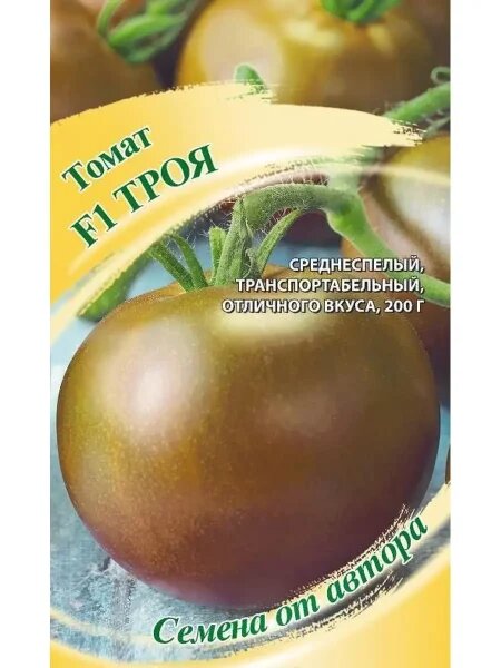 Томат Троя: секреты успешного выращивания и высокие урожаи для вашей теплицы