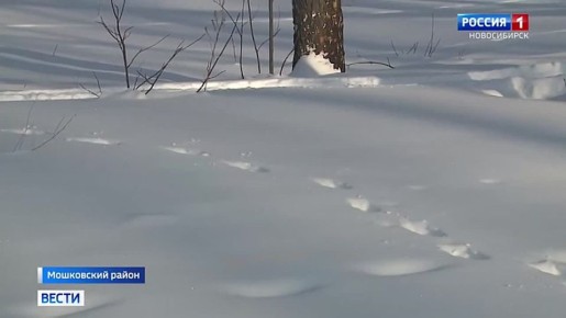 ������ ��������. ��������� ����� �������� � ������������� ����� �������������