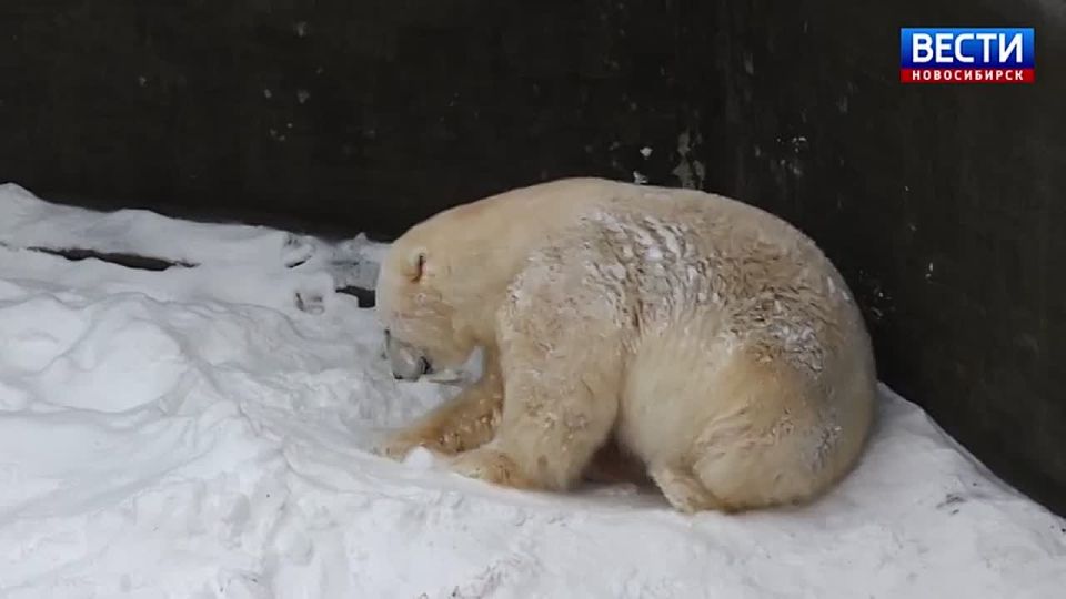 ��������� �������. ����� ������� ��� �� �������������� �������� �������� ����������� �����������: ��������� � ������� � ����� �������������� � ���� �� ���