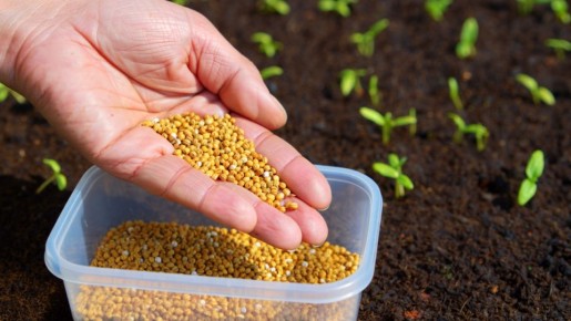 ��� ���������� ���������� ����� � ����������� ��� � ������� ���������