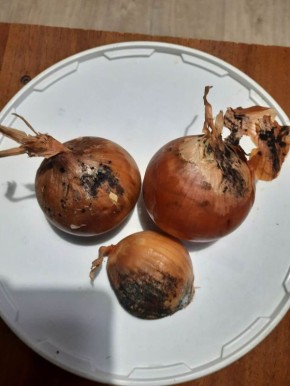 ��� �������� ��� �� ������ �������: ������ ��� �����������