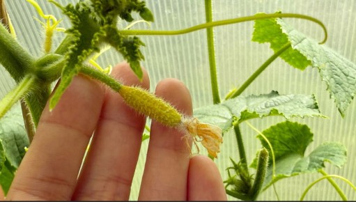 ��� ������ ������: ������� ������� ��� ������ � ��������� � ������������� �������