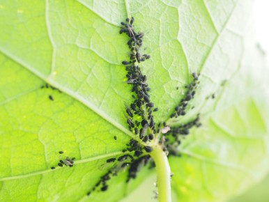 ��� ���������� �������� � ��� �� �������: 10 ����������� �������