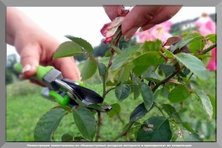 ��� �������� � ���������� ���� � ����: �������� ������ ��� ���������