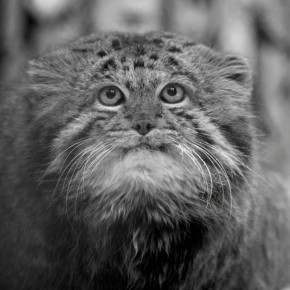 ��� ��������� ������ ����������� � ��������� ������ � ������������� �������� ��. ���� � �������� � 12 ����