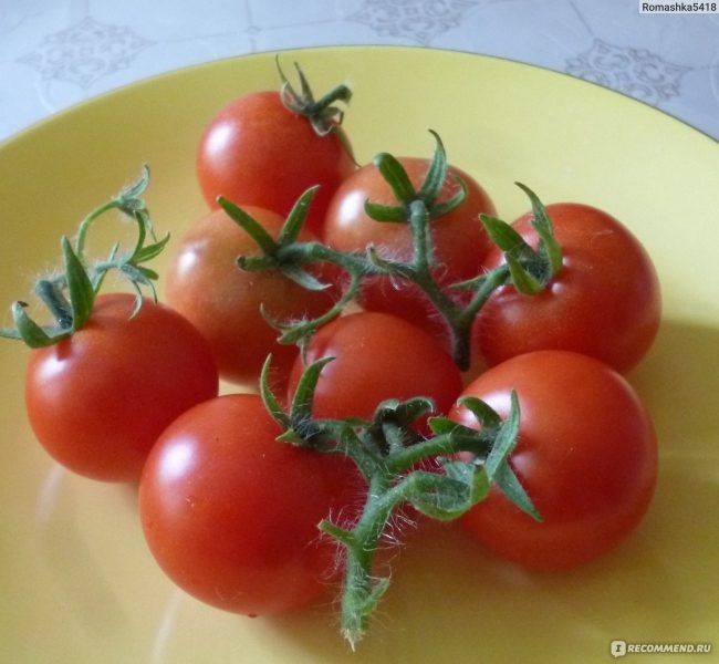Томат Чудо на окошке: как вырастить свежий урожай на подоконнике круглый год