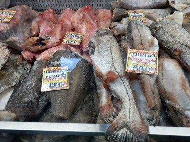 ���� �� ���� ������ �����: ��� ���������� � ������ ����