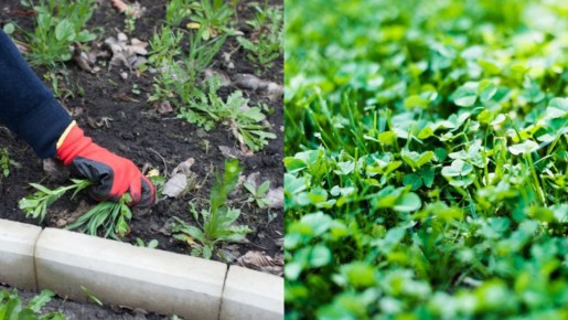 ��� �������� �������� ��� ������ � �������: ������ � ������� ��� ������� �������