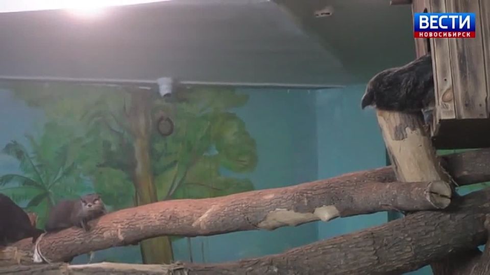 ���������� ������. � ������������� �������� ����� ���������� �������� ������� � �����������, ������� ������ � ���� � ����� �������