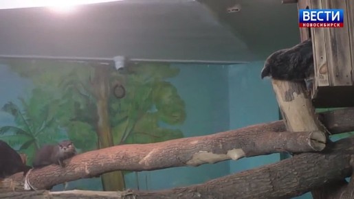 ���������� ������. � ������������� �������� ����� ���������� �������� ������� � �����������, ������� ������ � ���� � ����� �������