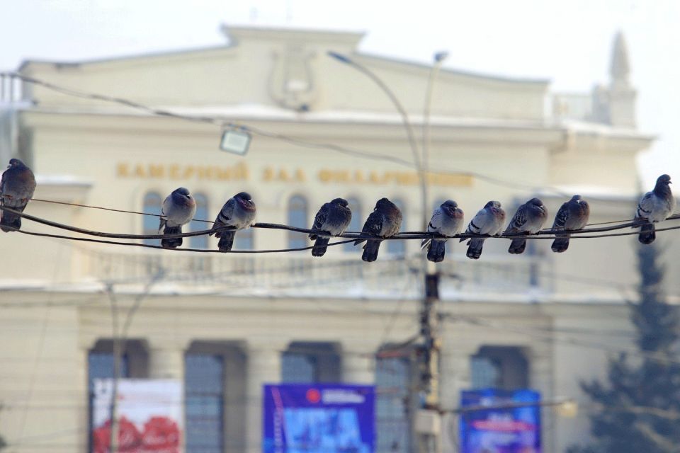 Резкая оттепель до +1 градуса придёт в Новосибирск 6 февраля