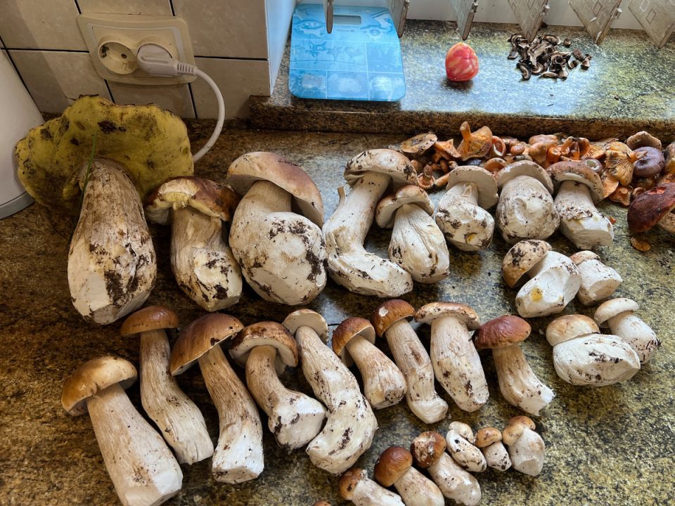 ������� ������ �������: �� ����� �� ������� - ��� � �������?