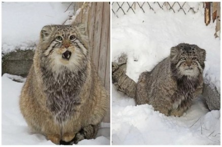 ��� ����� ���� � �����. �� ����� ����������� ��������� �������