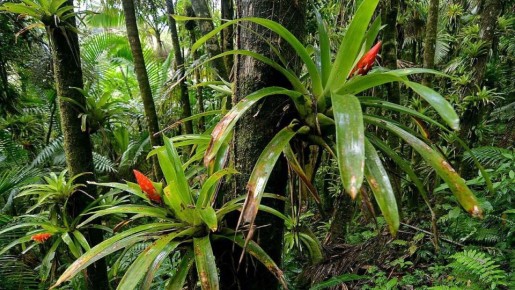 ���������� �������: ��������, ��������� �� ��������