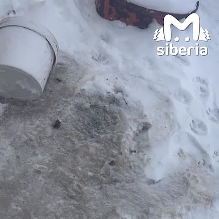 Жителям посёлка в Новосибирской области запретили ходить в туалет из-за отсутствия очистных сооружений