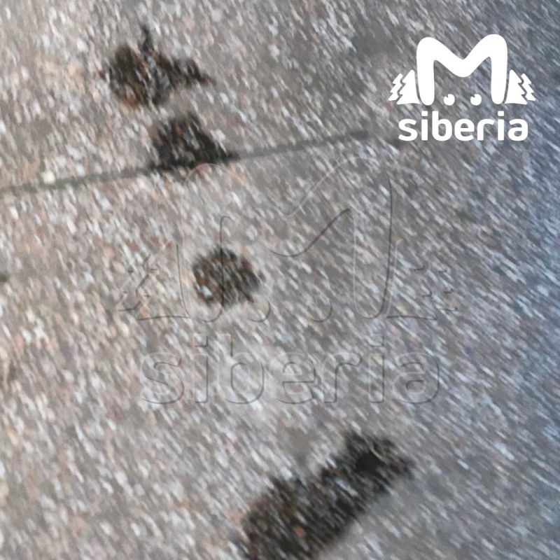 Крыша уже несколько лет протекает в отделении новосибирского Университета Биотехнологий