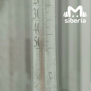 ������ � ������������� ������� �� ����� ������������, �������� �� ���� ��� ��������