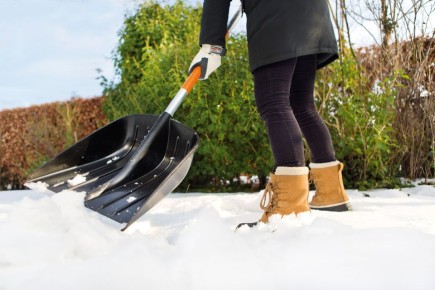 ������ �����: ��� ������� ��� ���������� � ���������