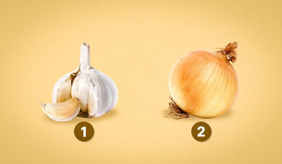 ������ ���� ����� ����� �������� �����: �������� ��������������� ����