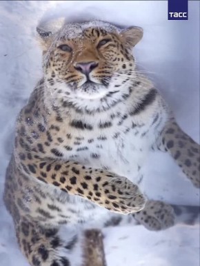 ������� �������� �������� ���� � ������������� �������� ��. ����