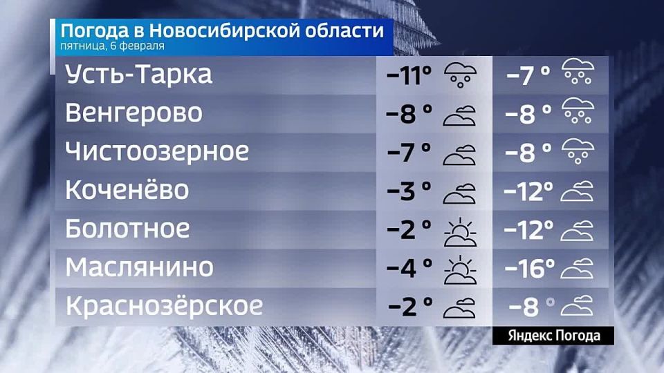 Вести Новосибирск