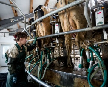 ��������� ��������������: ��� �������������� ��� ������ ������ �������� �������