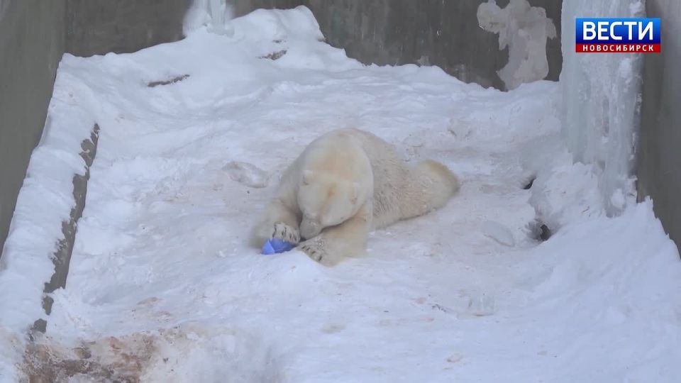 ����� �����. �������� ������� ��� �� �������������� �������� ����� ������ �����������: ������ ���������� ������������� ������� �������� �� ����� ����� �������� �. ������� ����� � ��������� ��� ����, ����������� �������...