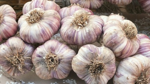 ���������� ����� � ������ ��� ���-���: �������� ����������� �������� �������