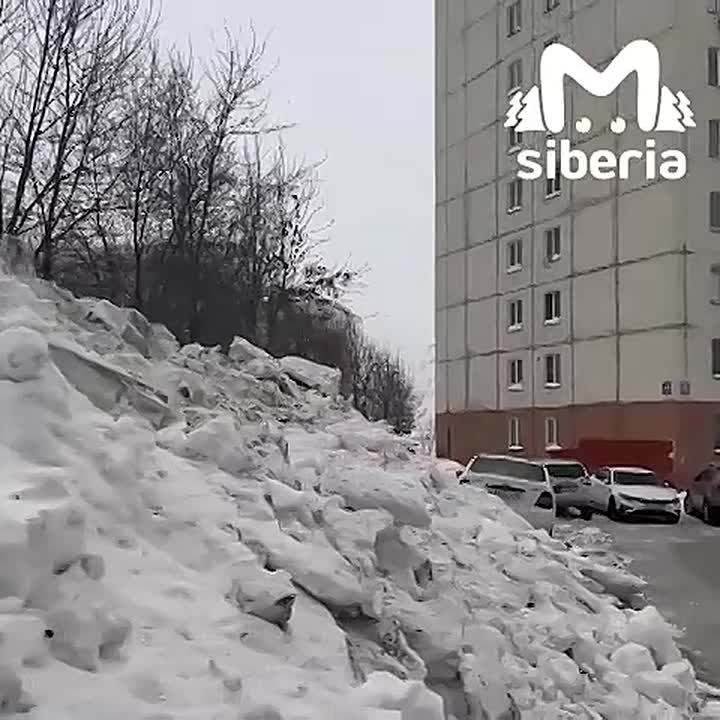 ����� ����������� ������� ����� �� ����� �� ������� �������� � ������������