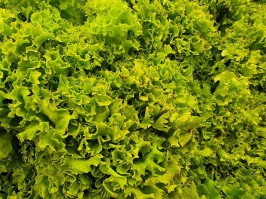 �� ���� ��������� ����� ��������� ������: ����������� ������