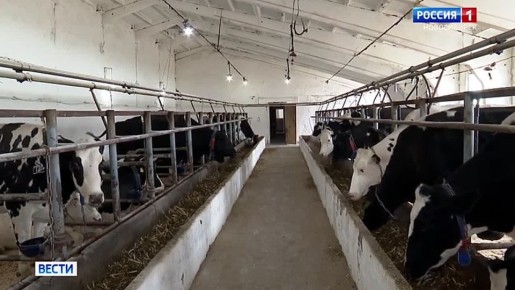 ���������� ��� ��������. ������������� ����������� �������� ��� ������ ��������� ��� �������� �� ������ ����������������� �������� � ��������, ����������� �� �������� � ����� ������������