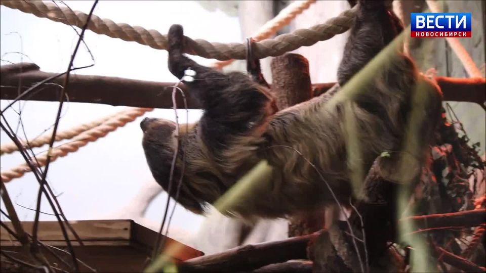 ������� ����. � ������������� �������� �� ��� �� ����������: ������� �������� �������� � �������, �������� ������������ �� ������� � ������ ������������� ��������� ������ ���� ������ ���������