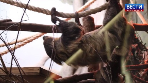 ������� ����. � ������������� �������� �� ��� �� ����������: ������� �������� �������� � �������, �������� ������������ �� ������� � ������ ������������� ��������� ������ ���� ������ ���������