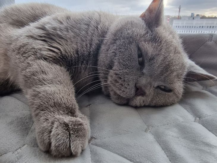 ��� ���������� �� ����������� ������ � ����� �����: ������ � ���� ����� ����� ��������