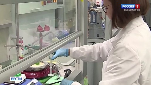 ������ �����. ����� ������ ����������� ����������� ��������� � ������������� ������������� � ����� ��������� ��� �����