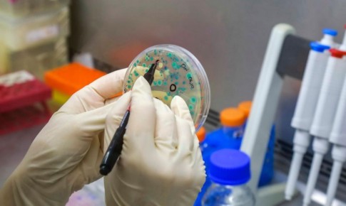 ������������� ������ ������� ���������� ��� ������ ����������� ����