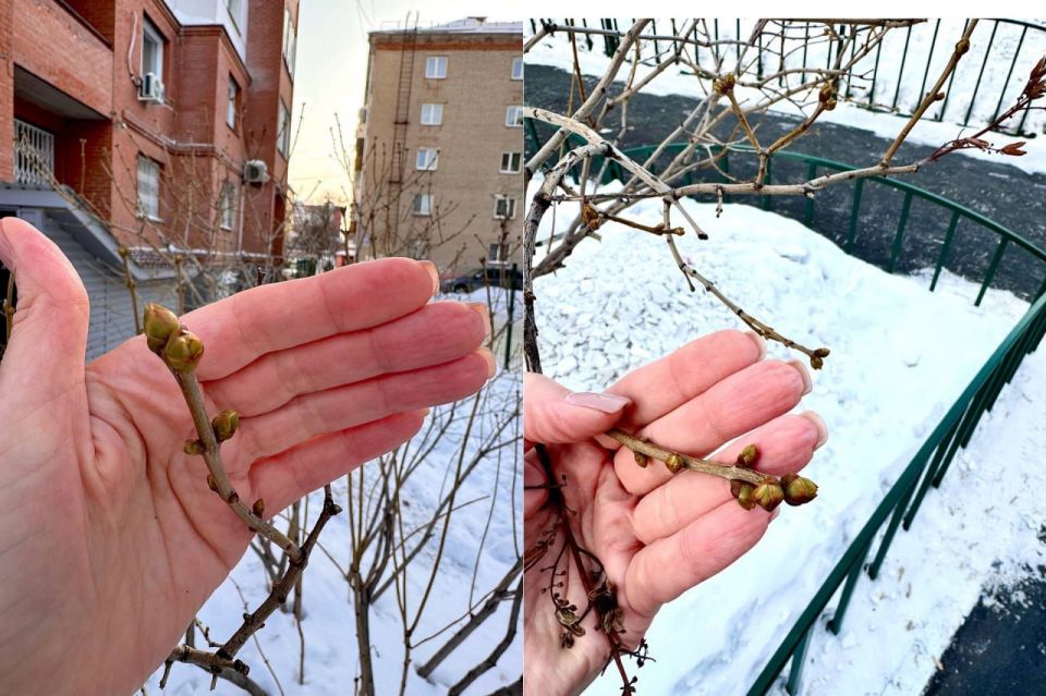 ��-�� ����� ���� � ������ � ������������ ������� �����