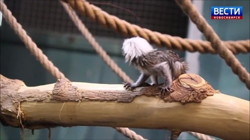 ������� ������. � ������������� �������� �������� ������ ������� ��������