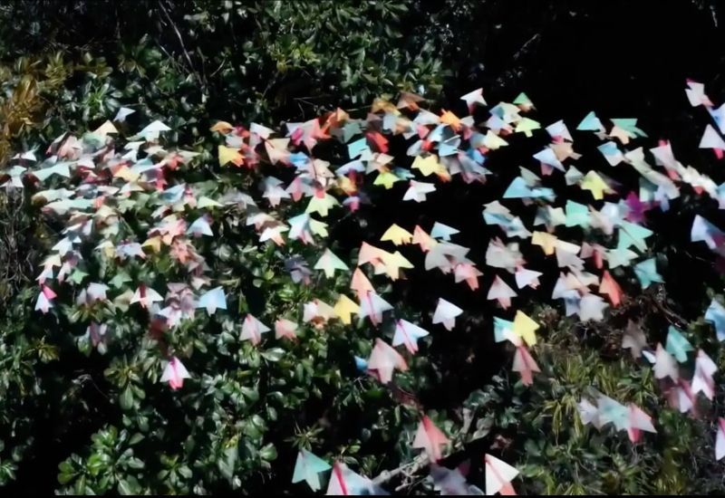 ��������� ���������� ����� ��-������: Mango � Avocado � ��������