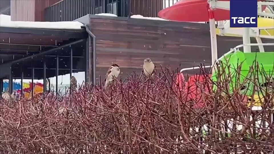 ��������� ����������� �������� �� +3 �C ������ � �����������