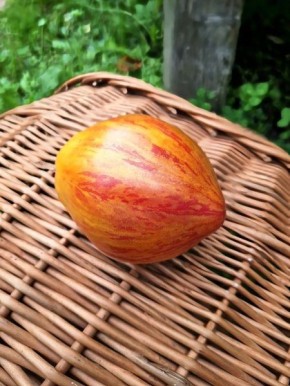 ����� ������ 141: ��������� ������ �� ������ � ���� �� ��������� ���������