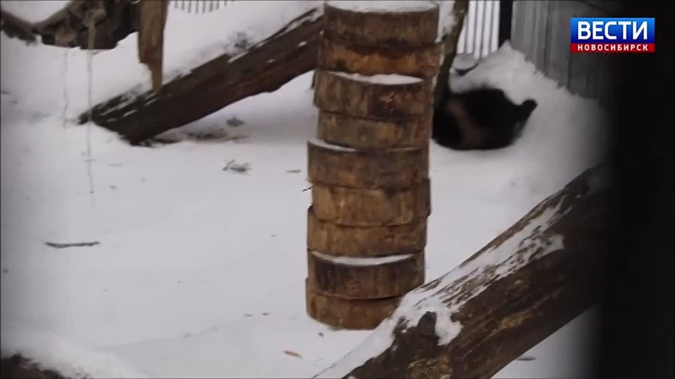 ������� �� ��������!. �������� ���������� ����������� �������������� �������� �������������� ������������