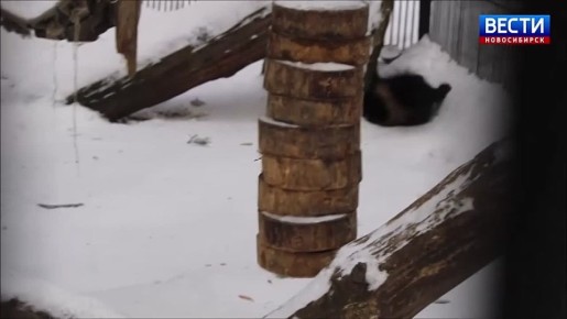 ������� �� ��������!. �������� ���������� ����������� �������������� �������� �������������� ������������