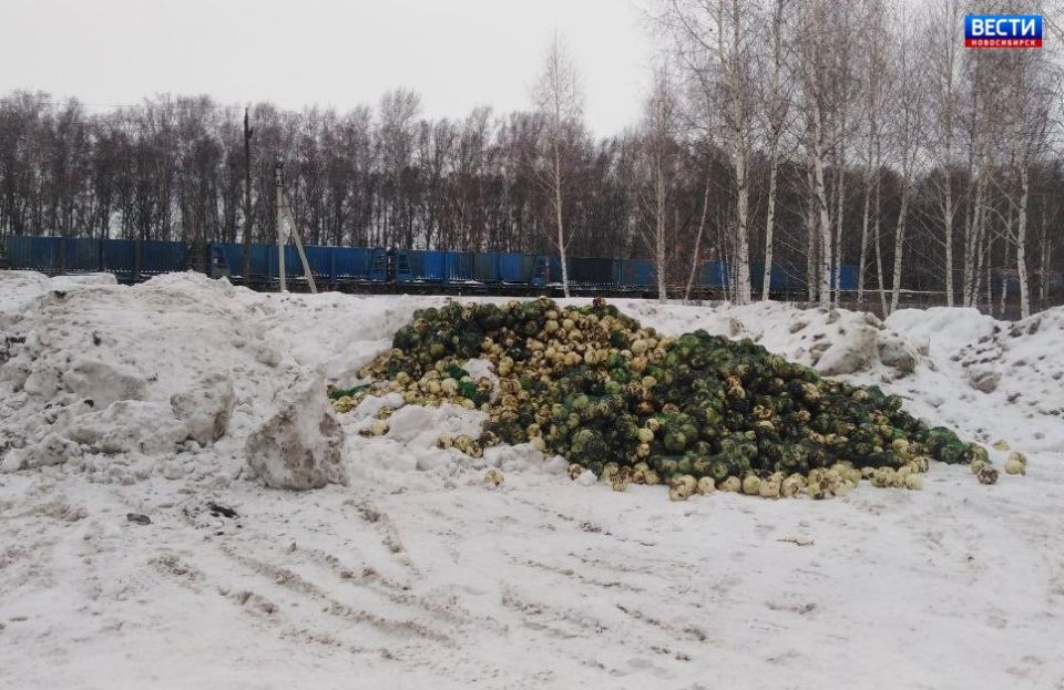 ������ �� �������. ������ ����������� ������ ������� � ������������ ����� ���� �������