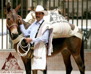 �������� ������ ��������: �� �������� �� ����� �������