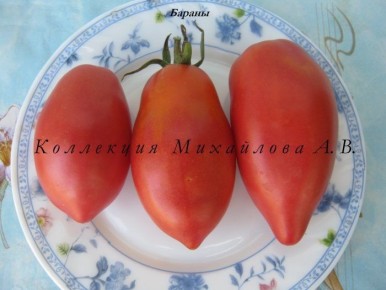 ����� ������: ���������� ����� � �������������� ������ ��� ������