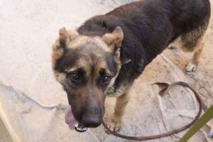 ������������ ������ ������ ��������� ����� ��������� � ������������